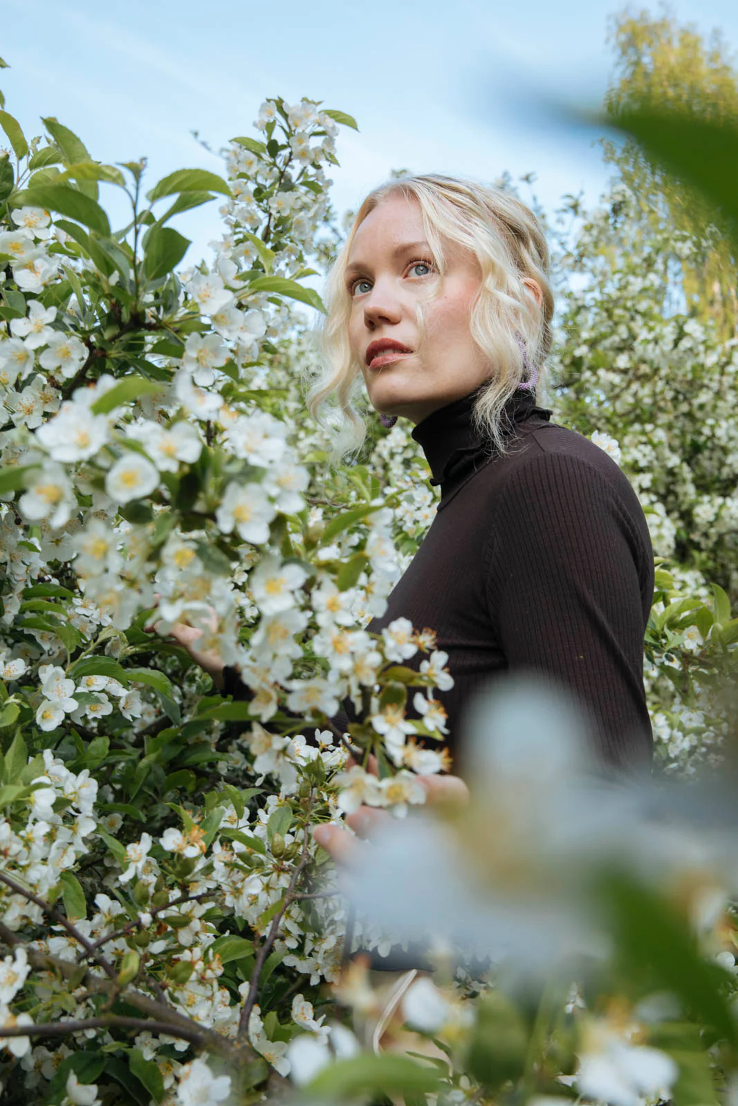 Rib Rollneck, Chocolate - Image 3